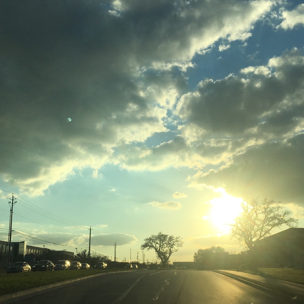 Meet your Posher, Allie